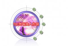 TAC终端接入控制